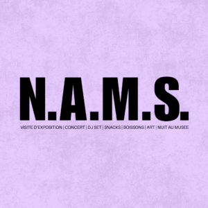 Logo N.A.M.S.